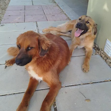 Terras Do Salvado Fundão