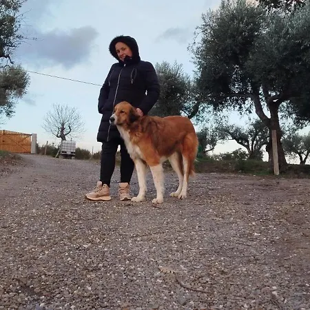 Séjour à la ferme Terras Do Salvado
