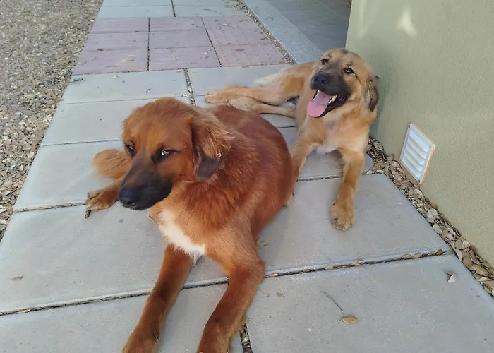 Terras Do Salvado Fundão