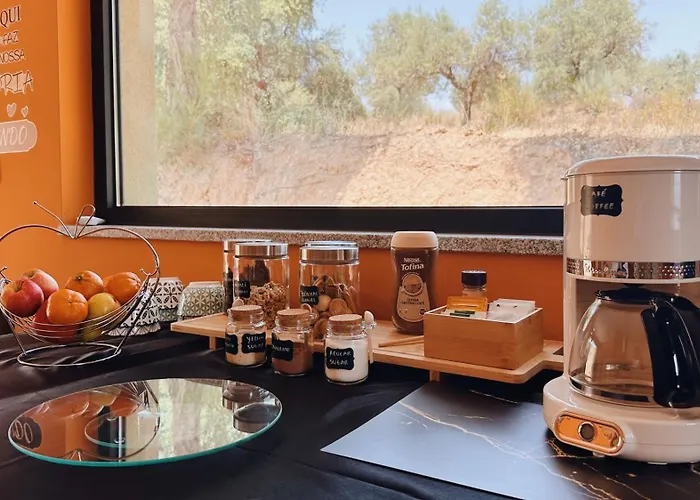 Terras Do Salvado Κατάλυμα σε φάρμα