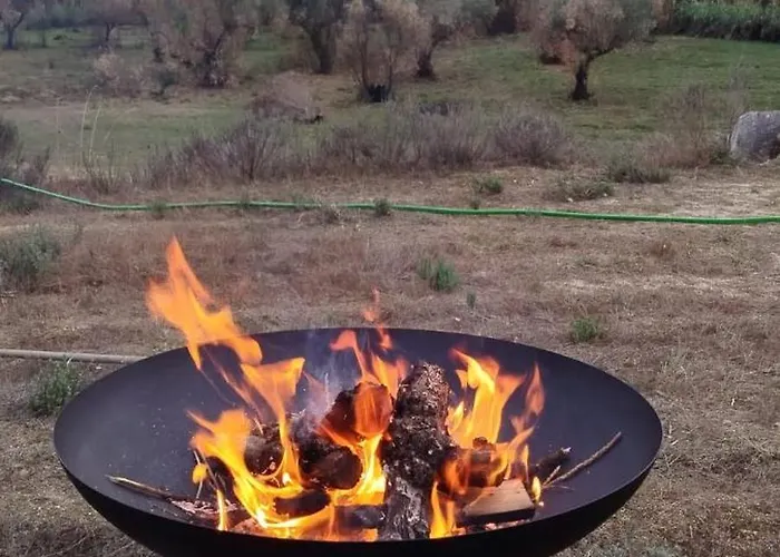 Terras Do Salvado * Fundão